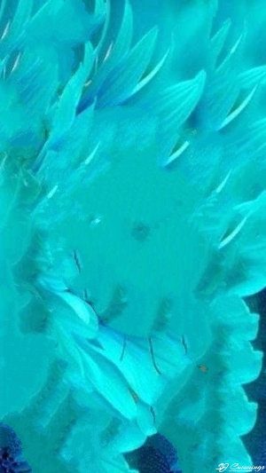 img02
